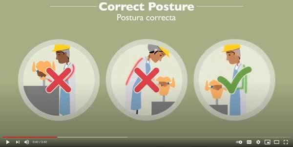 USPOULTRY HR & Safety Program Video