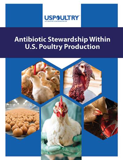 USPOULTRY Releases Updated Report of Antibiotic Stewardship Within US Poultry Production 