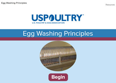 Egg Washing Principles