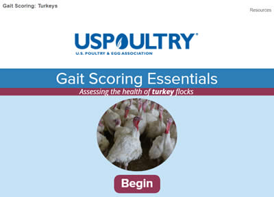 Gait Scoring Essentials: Turkey